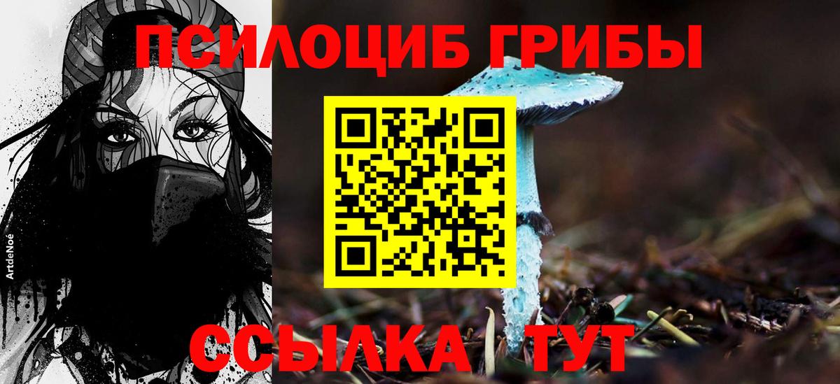 Псилоцибиновые грибы прущие грибы Уварово