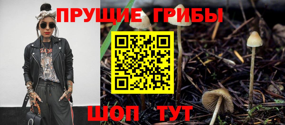 Галлюциногенные грибы Psilocybine cubensis  цены наркотик  Уварово  Вход с VPN 